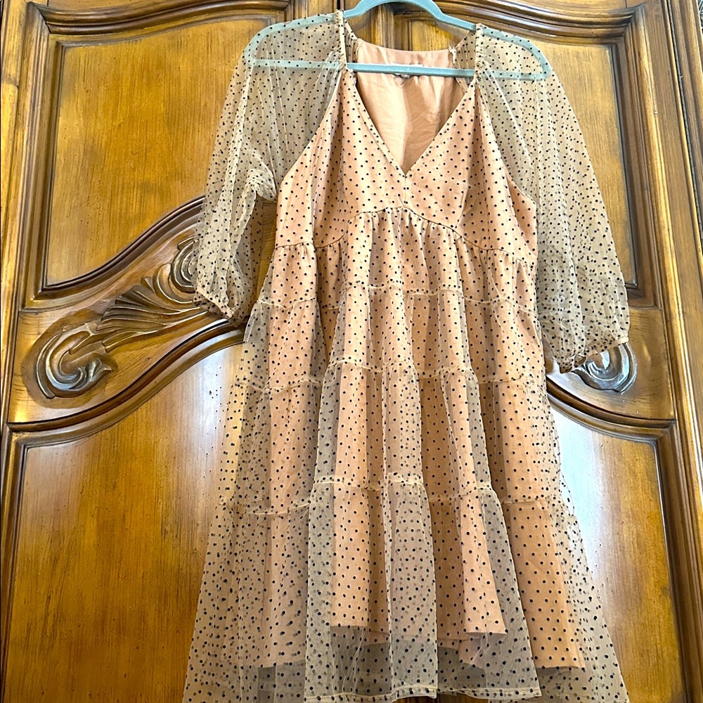 Nude Tulle Black velvet Polka Dot Romantic Retro Mini Dress
Size Large - Picture 8 of 11